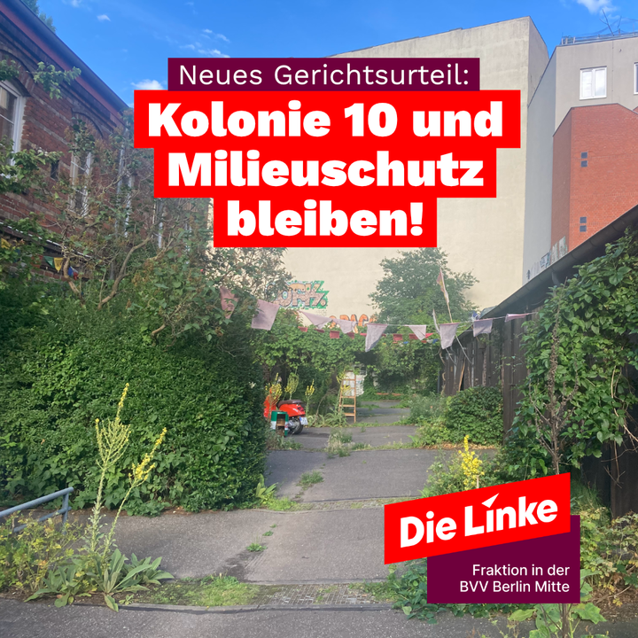 Foto aus dem Kulturhof Kolonie 10 im Sommer. Er blüht, man sieht viele Pflanzen und auch ein paar Vögel. Als Überschrift steht dort: „Neues Gerichtsurteil: Kolonie 10 und Milieuschutz bleiben!“