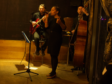 Foto vom Live-Auftritt des  Nadia Lafi Trios. Die drei musizieren und singen auf einer kleinen Bühne.